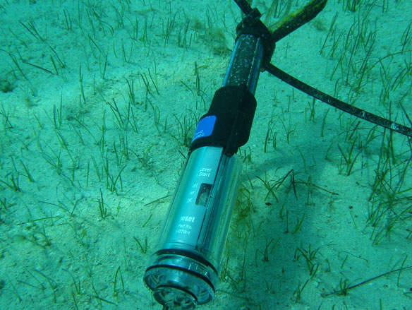 HOBO水溫度記錄儀應(yīng)用在沿海水下環(huán)境監(jiān)測成功案例